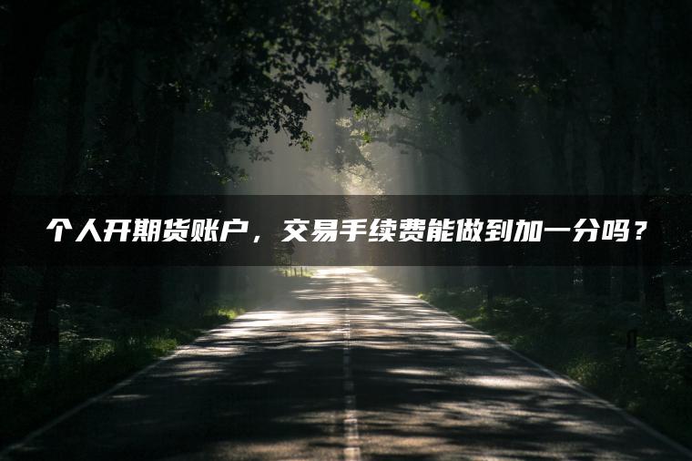 个人开期货账户，交易手续费能做到加一分吗？