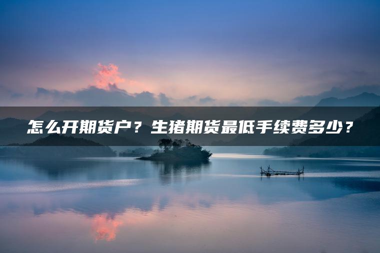 怎么开期货户？生猪期货最低手续费多少？