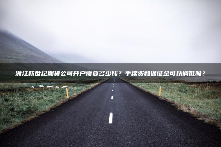 浙江新世纪期货公司开户需要多少钱?手续费和保证金可以调低吗? 浙江新世纪期货公司开户需要多少钱?手续费和保证金可以调低吗?