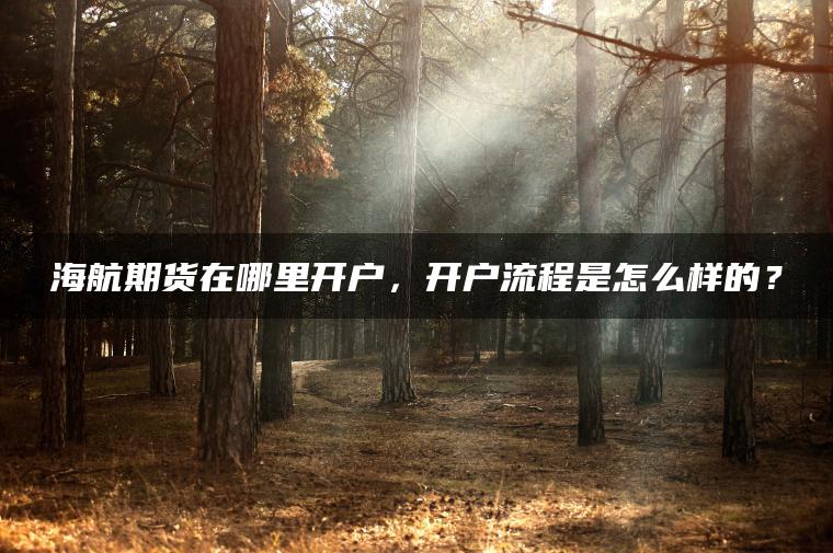 海航期货在哪里开户,开户流程是怎么样的? 海航期货在哪里开户,开户流程是怎么样的?