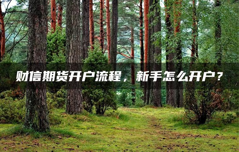 财信期货开户流程,新手怎么开户? 财信期货开户流程,新手怎么开户?