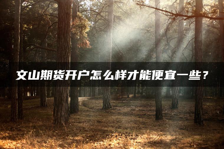 文山期货开户怎么样才能便宜一些? 文山期货开户怎么样才能便宜一些?