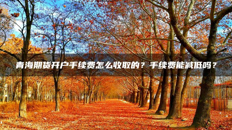 青海期货开户手续费怎么收取的?手续费能减低吗? 青海期货开户手续费怎么收取的?手续费能减低吗?