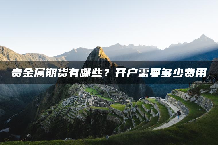 贵金属期货有哪些?开户需要多少费用 贵金属期货有哪些?开户需要多少费用