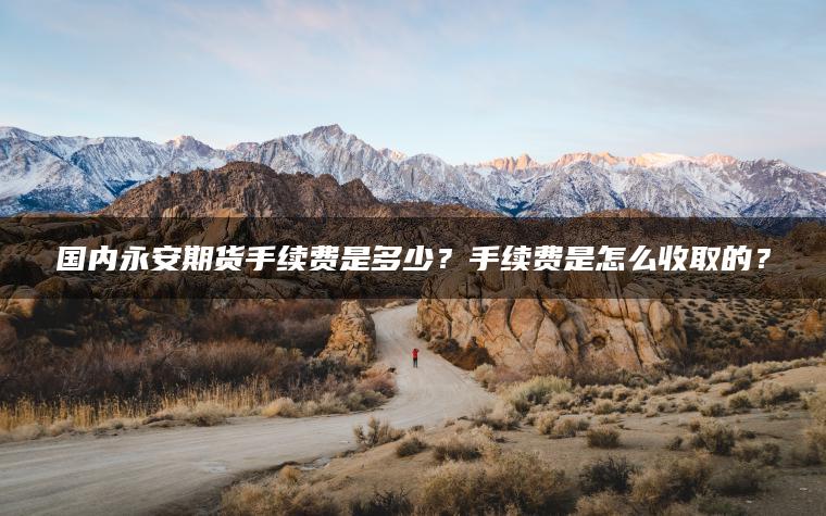 国内永安期货手续费是多少?手续费是怎么收取的? 国内永安期货手续费是多少?手续费是怎么收取的?