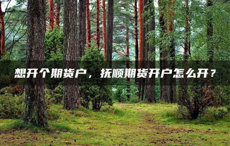 想开个期货户，抚顺期货开户怎么开？