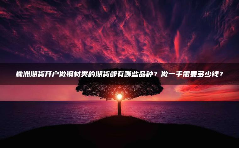 株洲期货开户做钢材类的期货都有哪些品种？做一手需要多少钱？