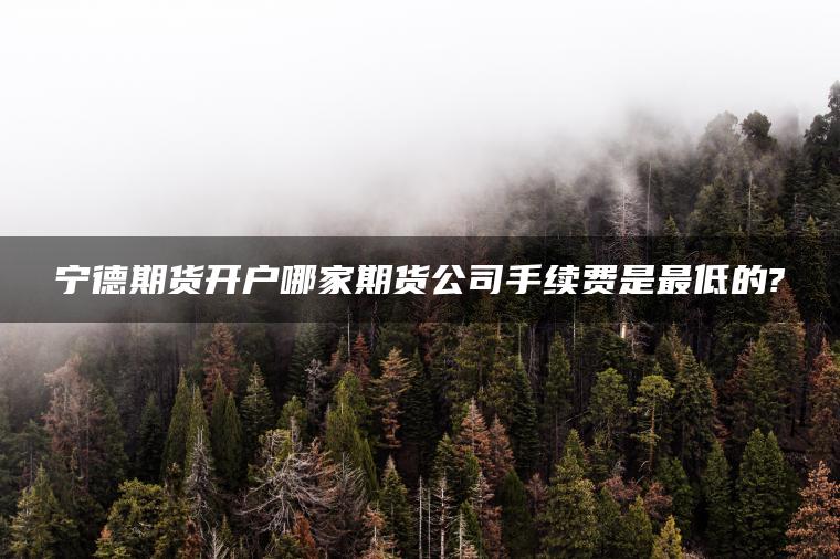 宁德期货开户哪家期货公司手续费是最低的?