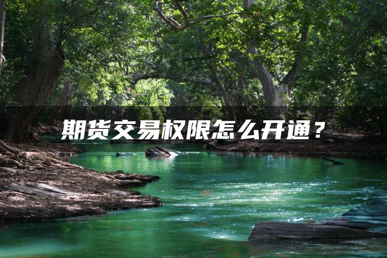 期货交易权限怎么开通? 期货交易权限怎么开通?