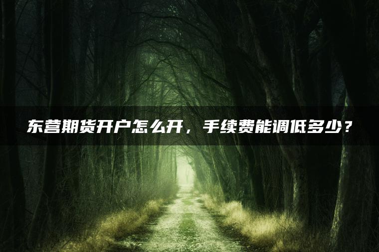 东营期货开户怎么开,手续费能调低多少? 东营期货开户怎么开,手续费能调低多少?