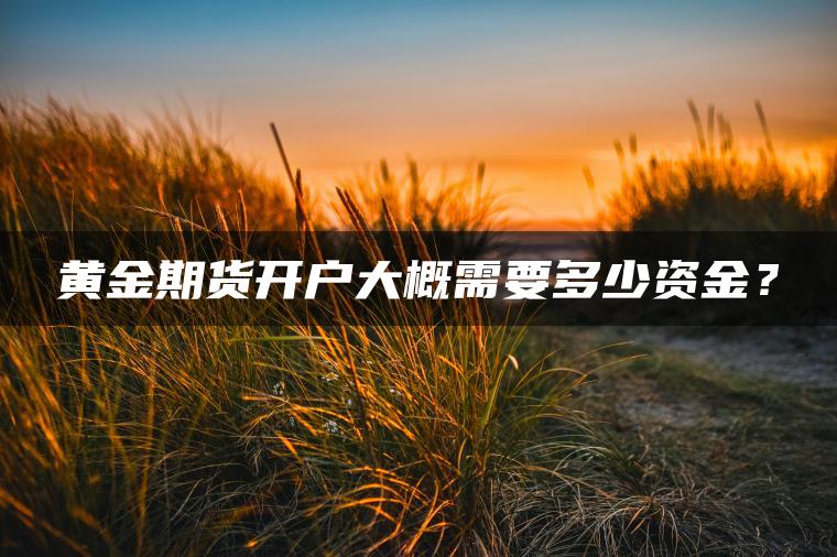 黄金期货开户大概需要多少资金? 黄金期货开户大概需要多少资金?