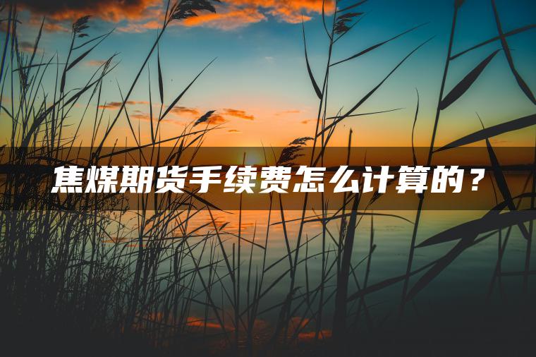 焦煤期货手续费怎么计算的? 焦煤期货手续费怎么计算的?