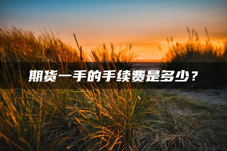 期货一手的手续费是多少？