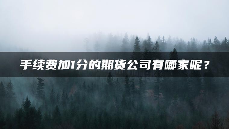 手续费加1分的期货公司有哪家呢？