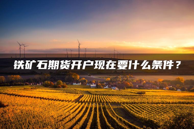 铁矿石期货开户现在要什么条件? 铁矿石期货开户现在要什么条件?