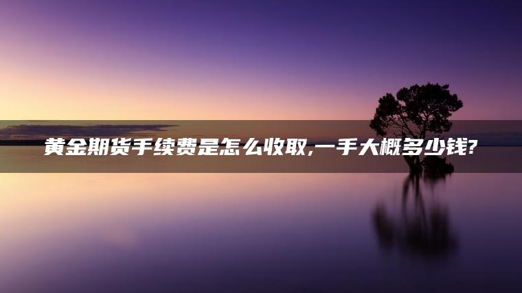 黄金期货手续费是怎么收取,一手大概多少钱?
