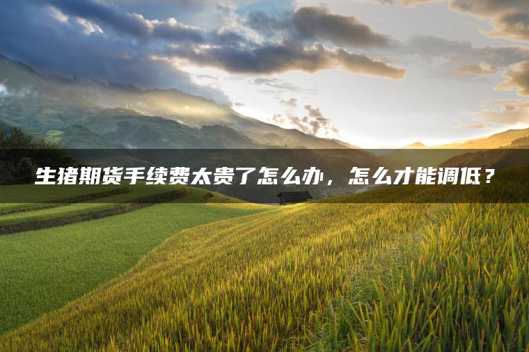 生猪期货手续费太贵了怎么办，怎么才能调低？
