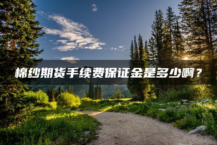 棉纱期货手续费保证金是多少啊？
