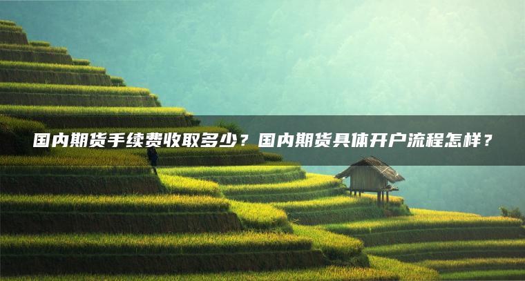 国内期货手续费收取多少?国内期货具体开户流程怎样? 国内期货手续费收取多少?国内期货具体开户流程怎样?
