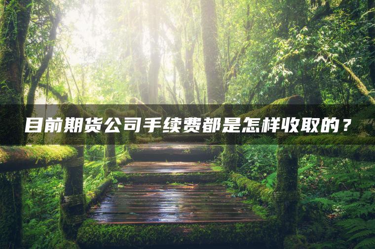 目前期货公司手续费都是怎样收取的？