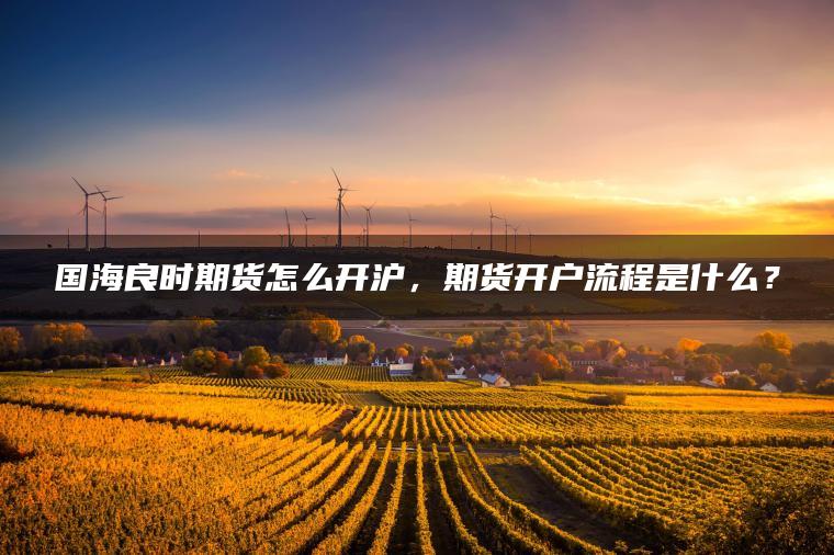国海良时期货怎么开沪，期货开户流程是什么？
