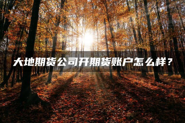 大地期货公司开期货账户怎么样？