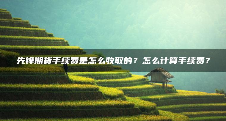 先锋期货手续费是怎么收取的?怎么计算手续费? 先锋期货手续费是怎么收取的?怎么计算手续费?