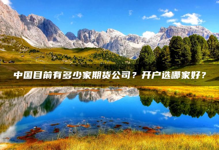 中国目前有多少家期货公司?开户选哪家好? 中国目前有多少家期货公司?开户选哪家好?