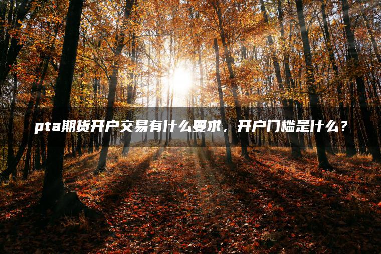 pta期货开户交易有什么要求，开户门槛是什么？