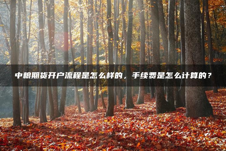 中粮期货开户流程是怎么样的，手续费是怎么计算的？
