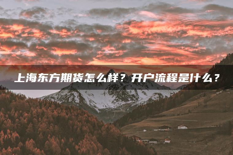 上海东方期货怎么样？开户流程是什么？
