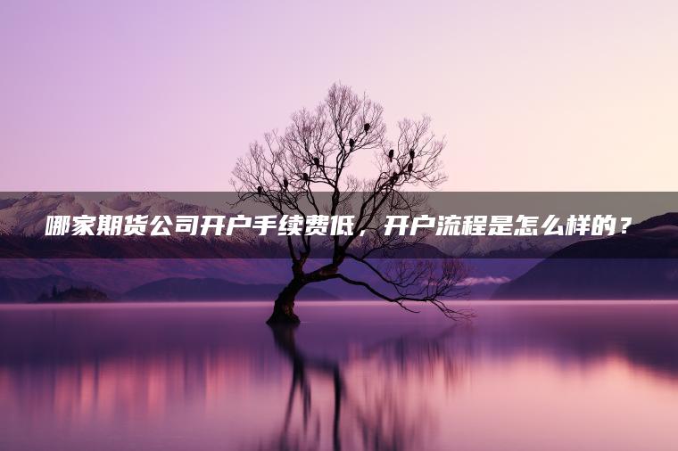 哪家期货公司开户手续费低，开户流程是怎么样的？