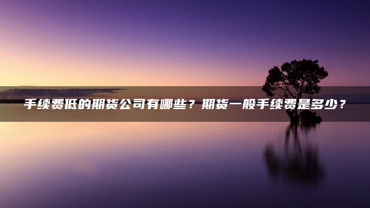 手续费低的期货公司有哪些？期货一般手续费是多少？