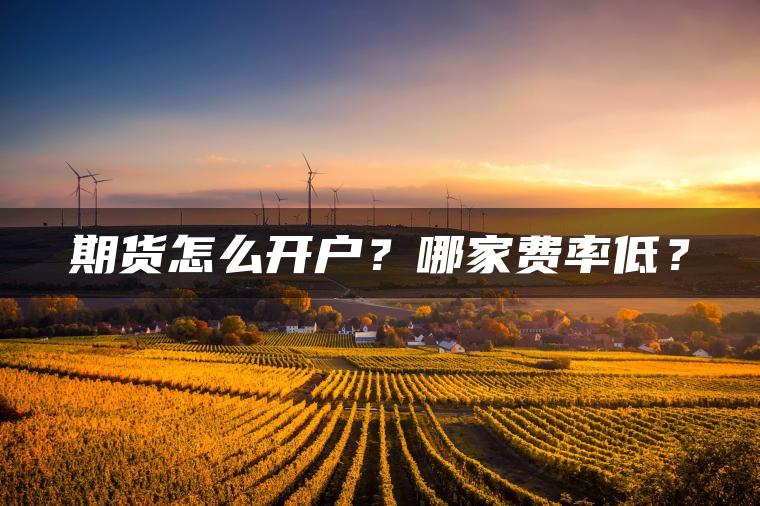 期货怎么开户?哪家费率低? 期货怎么开户?哪家费率低?