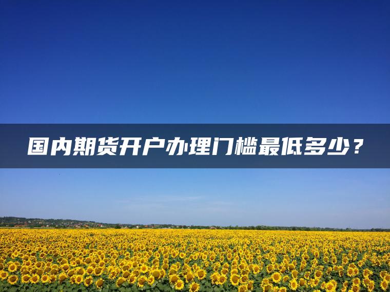 国内期货开户办理门槛最低多少？