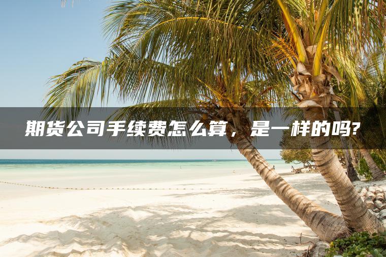 期货公司手续费怎么算,是一样的吗? 期货公司手续费怎么算,是一样的吗?