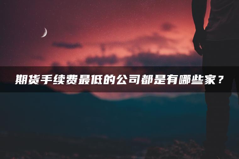 期货手续费最低的公司都是有哪些家？
