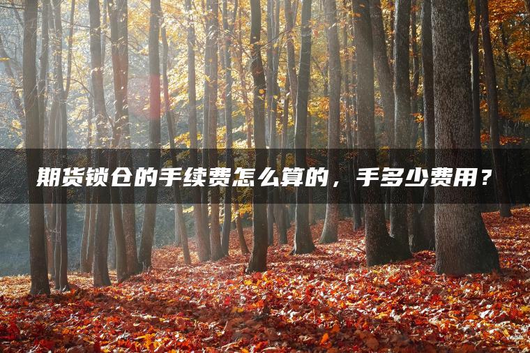 期货锁仓的手续费怎么算的，手多少费用？