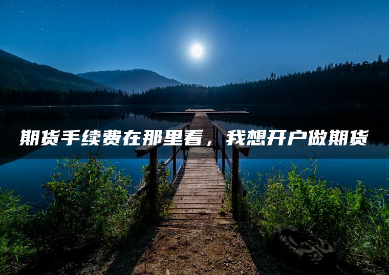 期货手续费在那里看，我想开户做期货