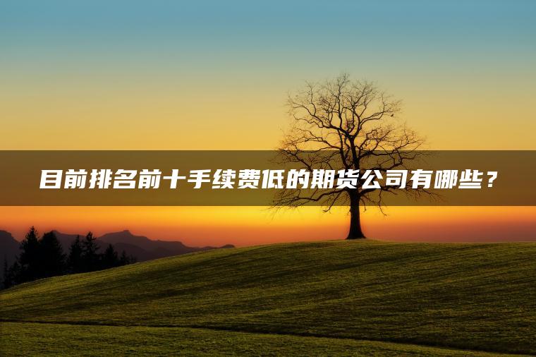 目前排名前十手续费低的期货公司有哪些？