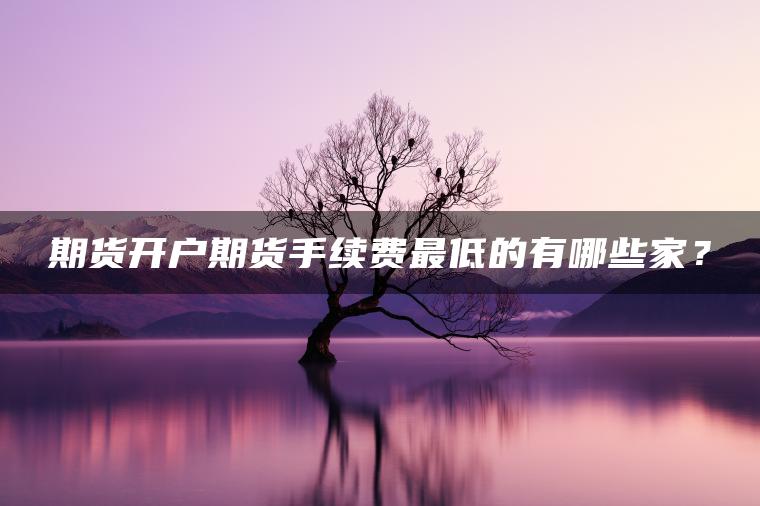 期货开户期货手续费最低的有哪些家？