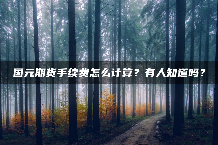 国元期货手续费怎么计算?有人知道吗? 国元期货手续费怎么计算?有人知道吗?