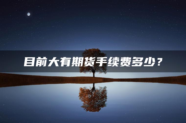 目前大有期货手续费多少? 目前大有期货手续费多少?