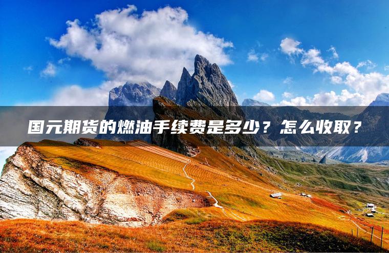 国元期货的燃油手续费是多少？怎么收取？