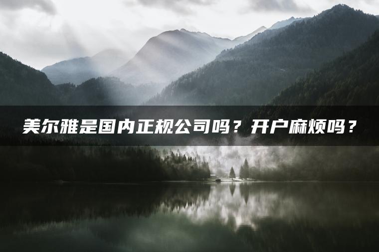 美尔雅是国内正规公司吗？开户麻烦吗？