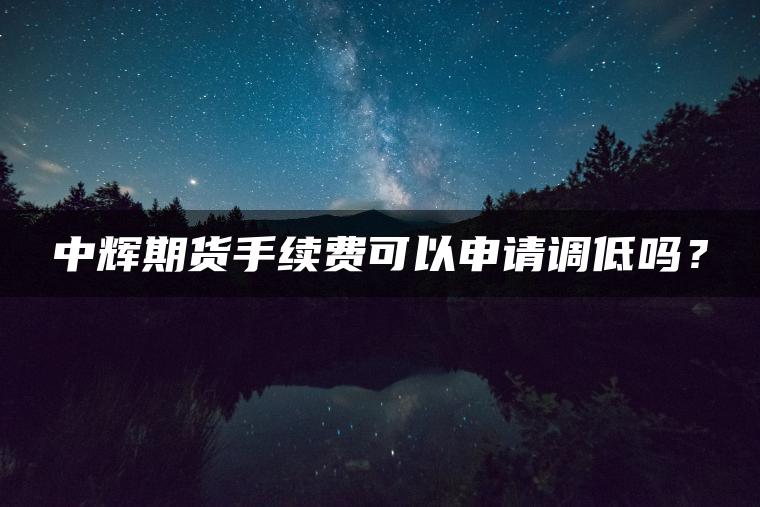 中辉期货手续费可以申请调低吗？