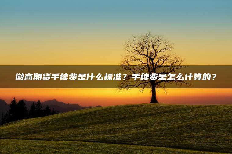 徽商期货手续费是什么标准?手续费是怎么计算的? 徽商期货手续费是什么标准?手续费是怎么计算的?