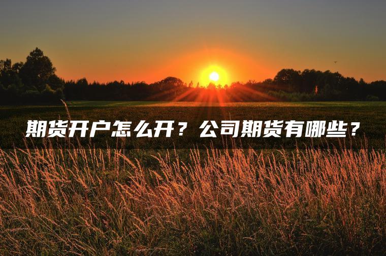 期货开户怎么开?公司期货有哪些? 期货开户怎么开?公司期货有哪些?