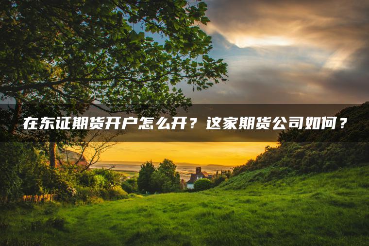 在东证期货开户怎么开？这家期货公司如何？