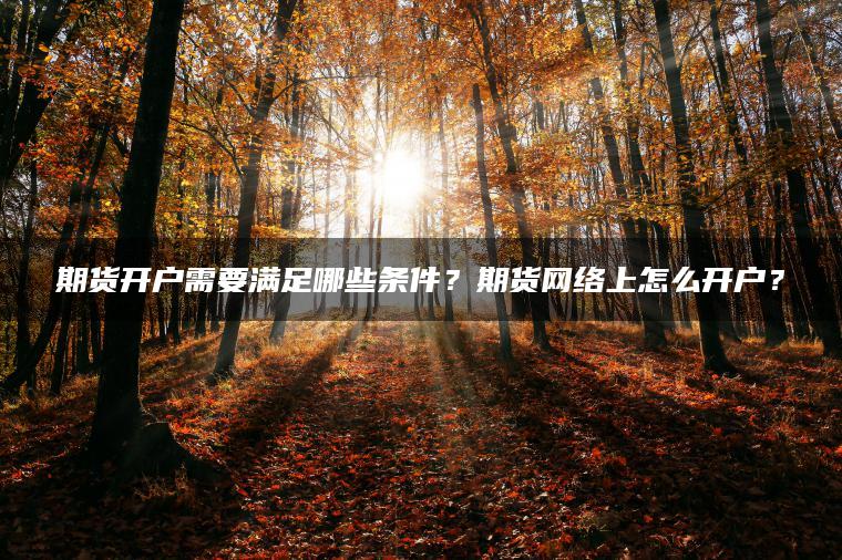 期货开户需要满足哪些条件？期货网络上怎么开户？